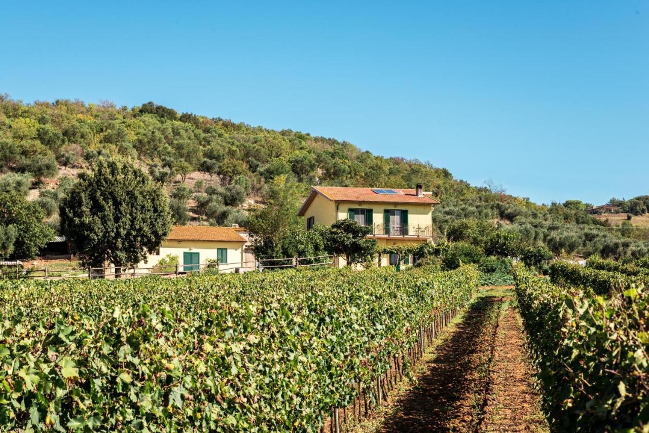 Poggiolivi Agriturismo Bio In Maremma Alberese Exteriér fotografie